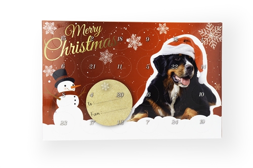 Treateaters Christmas Calendar Mini Treats Dog