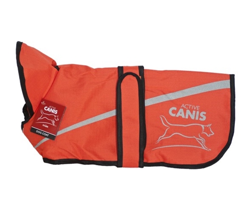 Canis 2i1, orange 65 cm