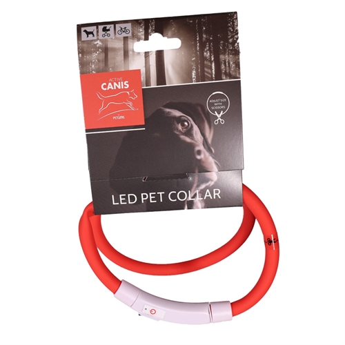 USB LED Pet Collar, Red