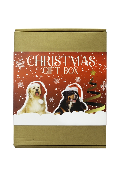 Treateaters Christmas Gift Box